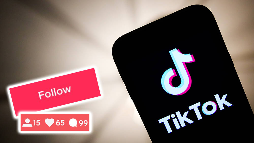 TikTok-Stardom erwartet dich: Erhalten Sie Premium-Follower über Follower Hunter