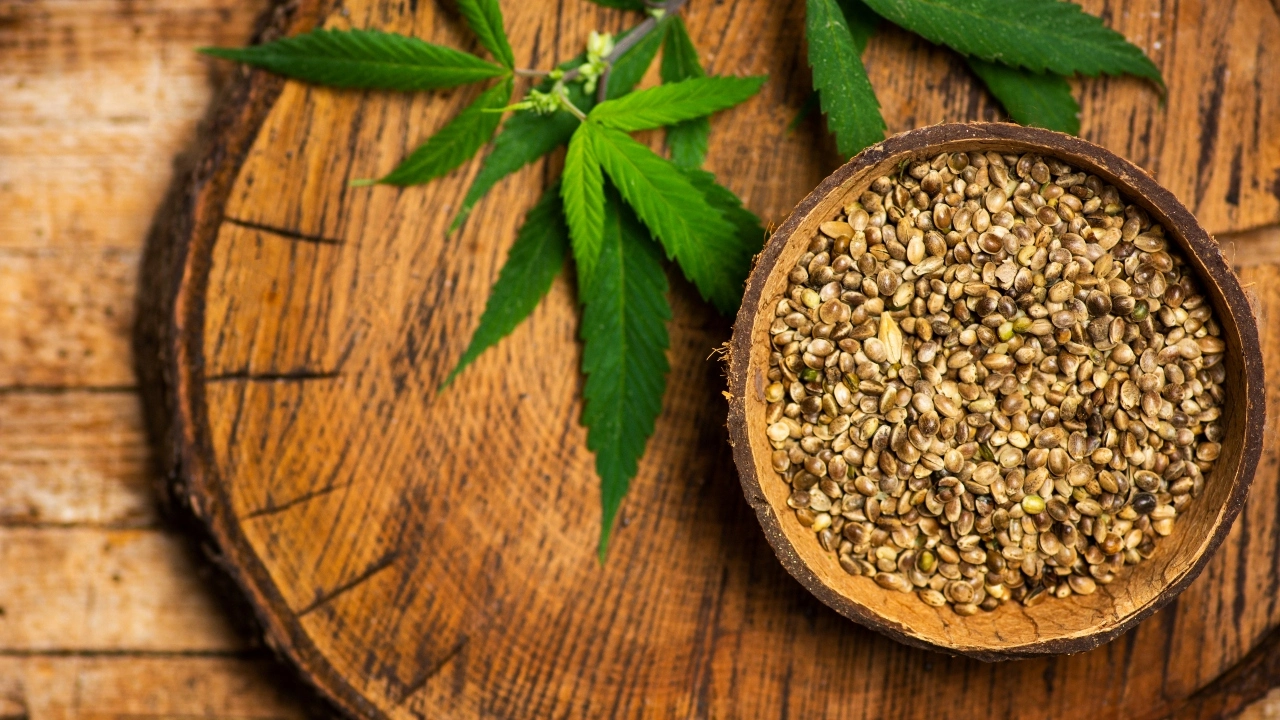 CBD Blüten kaufen – Legalität, Qualität und Wirkung im Überblick