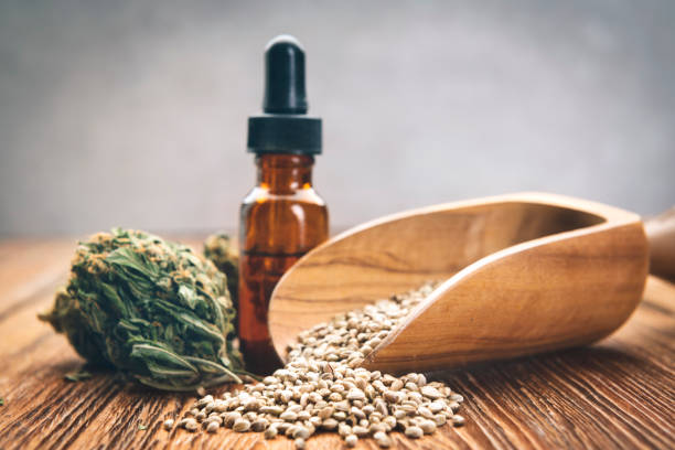 So wählen Sie Ihren perfekten Cannabissamen aus